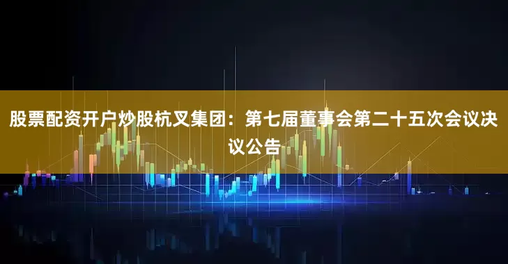 股票配资开户炒股杭叉集团：第七届董事会第二十五次会议决议公告