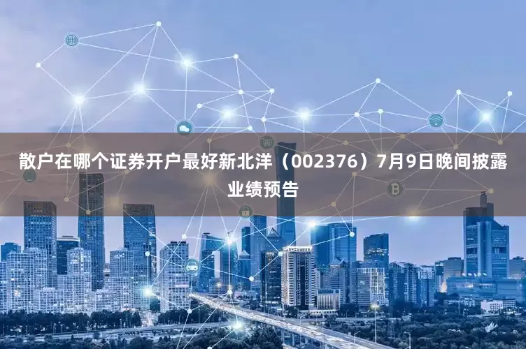 散户在哪个证券开户最好新北洋（002376）7月9日晚间披露业绩预告