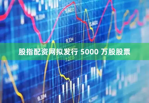 股指配资网拟发行 5000 万股股票