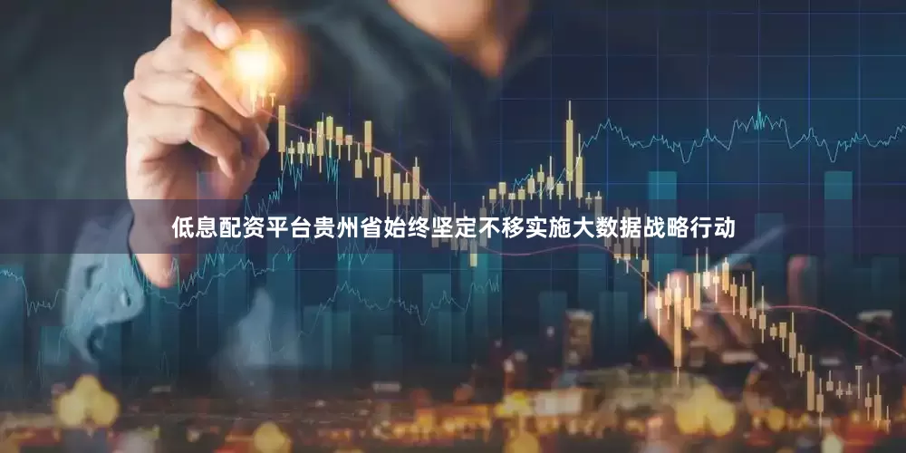 低息配资平台贵州省始终坚定不移实施大数据战略行动