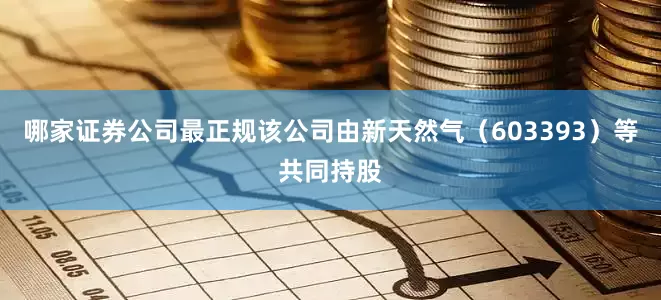 哪家证券公司最正规该公司由新天然气（603393）等共同持股