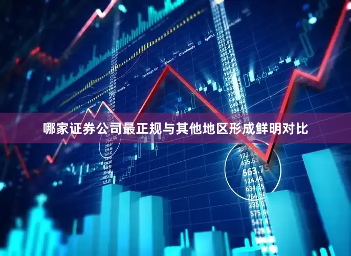 哪家证券公司最正规与其他地区形成鲜明对比