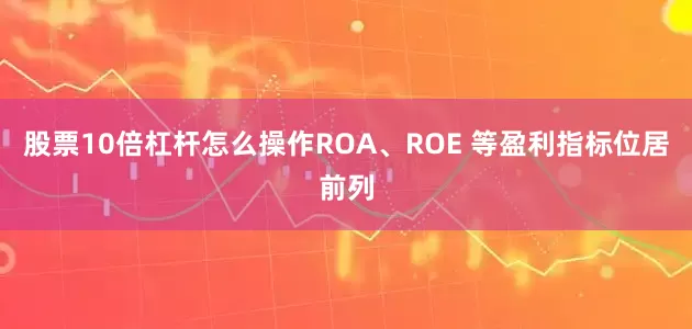 股票10倍杠杆怎么操作ROA、ROE 等盈利指标位居前列